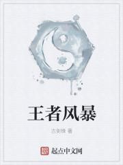 王者荣耀风暴先锋