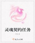 灵魂契约啥意思