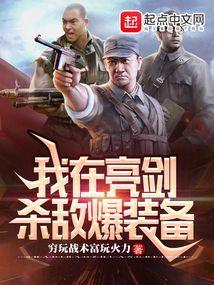 我在亮剑杀敌爆装备txt