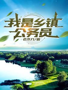 我是乡镇公务员全文阅读 我是乡镇公务员全文阅读