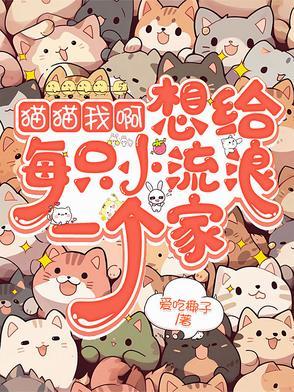 给你一只猫 给你一只猫