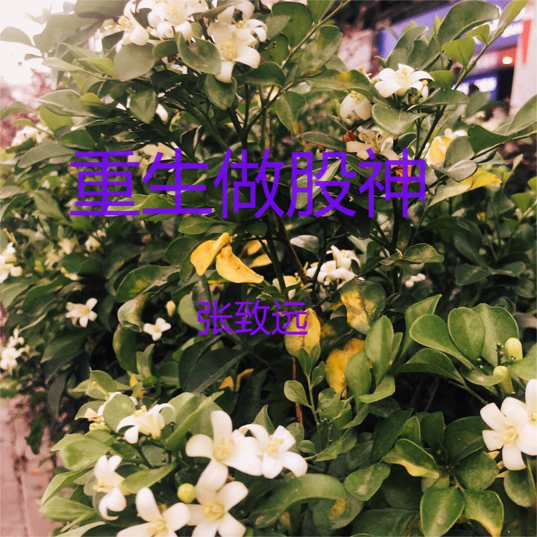 金融 巨头 重生 金融 巨头 重生