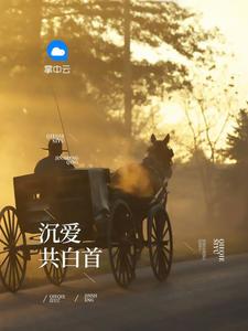 职场风云路txt 职场风云路txt
