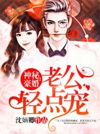 神秘豪婚:老公轻点宠 神秘豪婚:老公轻点宠