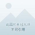 实现愿望的药剂店 实现愿望的药剂店
