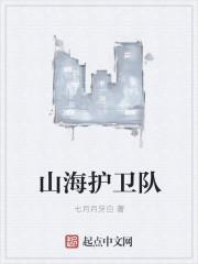 山海护卫队 山海护卫队