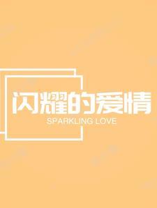 闪耀的爱情故事 闪耀的爱情故事