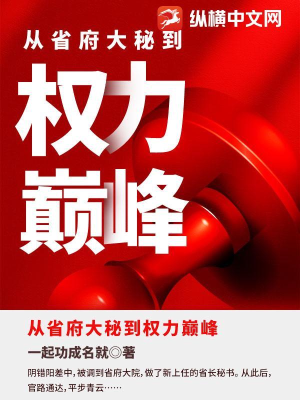 从省府大秘到权力巅峰 从省府大秘到权力巅峰
