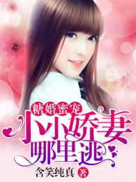 糖婚蜜宠:小小娇妻哪里逃 糖婚蜜宠:小小娇妻哪里逃