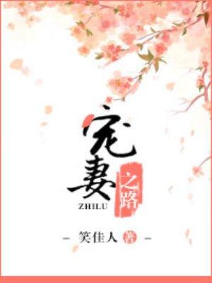 宠妻之路 宠妻之路