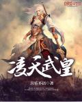 凌天武皇 凌天武皇