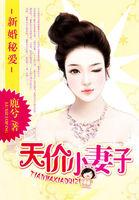 新婚蜜爱:天价小妻子 新婚蜜爱:天价小妻子