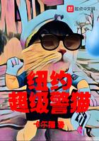 纽约超级警猫 纽约超级警猫