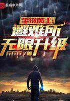全球废土:避难所无限升级 全球废土:避难所无限升级