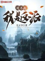 对不起,我是反派 对不起,我是反派